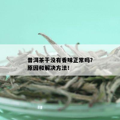 普洱茶干没有香味正常吗？原因和解决方法！