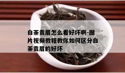 白茶贡眉怎么看好坏啊-图片视频教程教你如何区分白茶贡眉的好坏