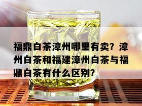 福鼎白茶漳州哪里有卖？漳州白茶和福建漳州白茶与福鼎白茶有什么区别？