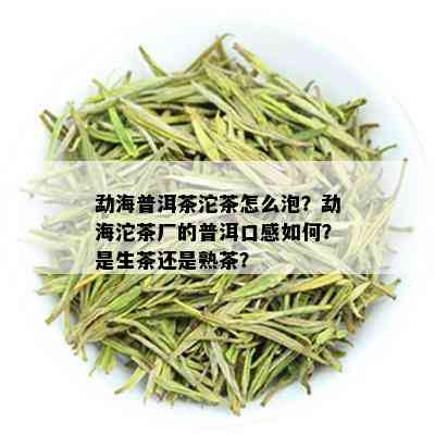 勐海普洱茶沱茶怎么泡？勐海沱茶厂的普洱口感如何？是生茶还是熟茶？