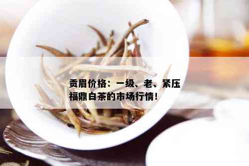 贡眉价格：一级、老、紧压福鼎白茶的市场行情！