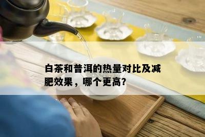 白茶和普洱的热量对比及减肥效果，哪个更高？