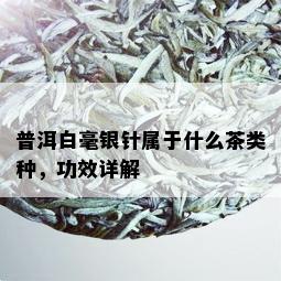 普洱白毫银针属于什么茶类种，功效详解