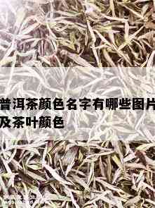 普洱茶颜色名字有哪些图片及茶叶颜色