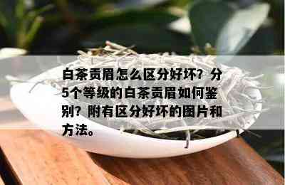 白茶贡眉怎么区分好坏？分5个等级的白茶贡眉如何鉴别？附有区分好坏的图片和方法。