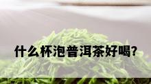 什么杯泡普洱茶好喝？