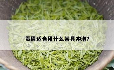 贡眉适合用什么茶具冲泡？