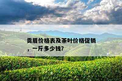 贡眉价格表及茶叶价格促销，一斤多少钱？