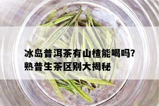 冰岛普洱茶有山楂能喝吗？熟普生茶区别大揭秘