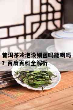 普洱茶冷泡没细菌吗能喝吗？百度百科全解析