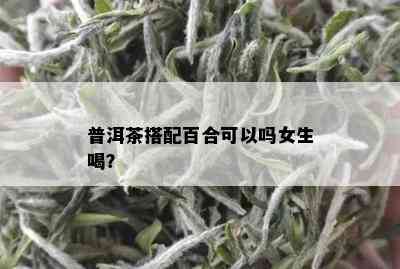 普洱茶搭配百合可以吗女生喝？