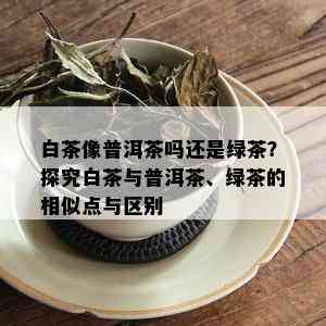 白茶像普洱茶吗还是绿茶？探究白茶与普洱茶、绿茶的相似点与区别