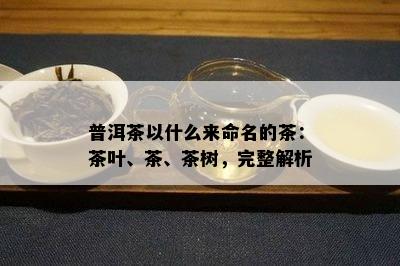 普洱茶以什么来命名的茶：茶叶、茶、茶树，完整解析