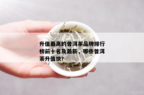 升值更高的普洱茶品牌排行榜前十名及最新，哪些普洱茶升值快？