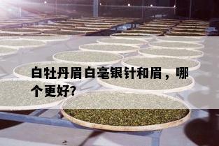 白牡丹眉白毫银针和眉，哪个更好？