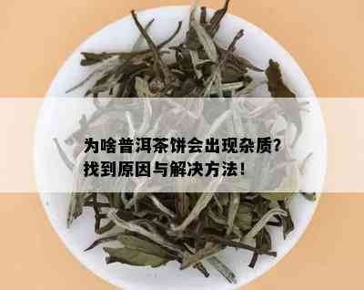 为啥普洱茶饼会出现杂质？找到原因与解决方法！