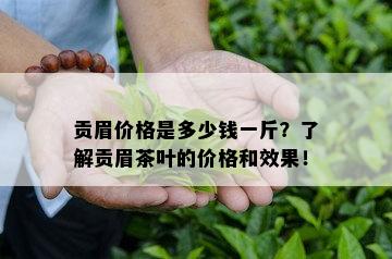 贡眉价格是多少钱一斤？了解贡眉茶叶的价格和效果！