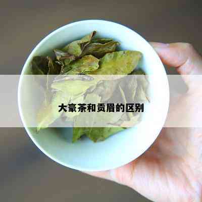 大豪茶和贡眉的区别