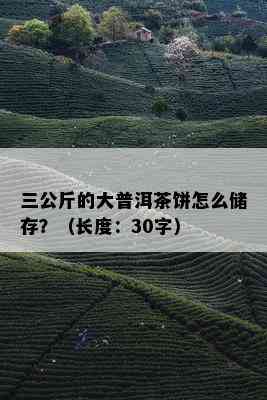 三公斤的大普洱茶饼怎么储存？（长度：30字）