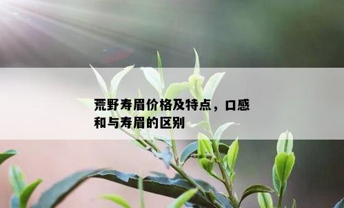 荒野寿眉价格及特点，口感和与寿眉的区别