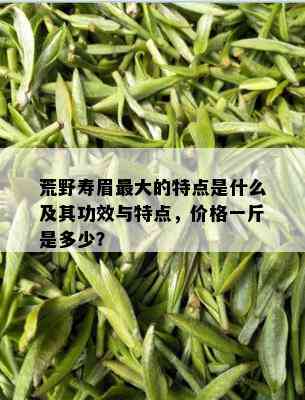 荒野寿眉更大的特点是什么及其功效与特点，价格一斤是多少？