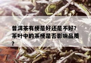 普洱茶有梗是好还是不好？茶叶中的茶梗是否影响品质？