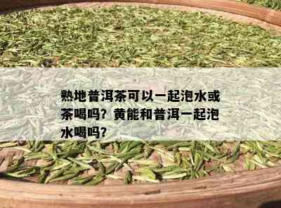 熟地普洱茶可以一起泡水或茶喝吗？黄能和普洱一起泡水喝吗？