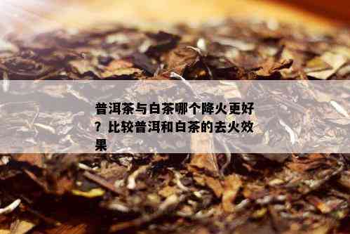 普洱茶与白茶哪个降火更好？比较普洱和白茶的去火效果