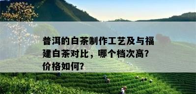 普洱的白茶制作工艺及与福建白茶对比，哪个档次高？价格如何？