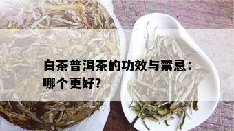 白茶普洱茶的功效与禁忌：哪个更好？