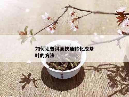 如何让普洱茶快速转化成茶叶的方法