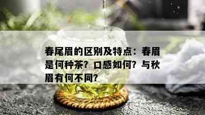 春尾眉的区别及特点：春眉是何种茶？口感如何？与秋眉有何不同？