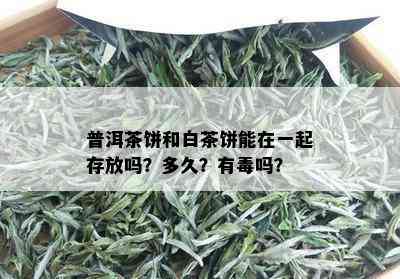 普洱茶饼和白茶饼能在一起存放吗？多久？有吗？