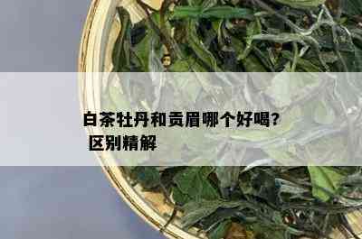 白茶牡丹和贡眉哪个好喝? 区别精解