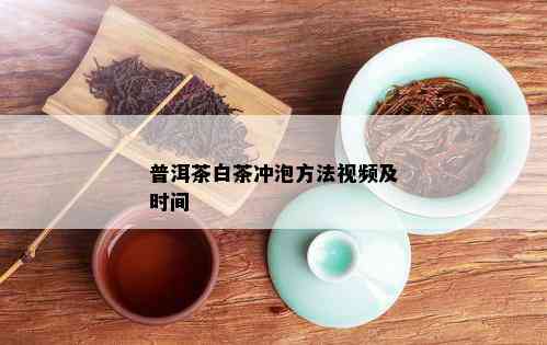 普洱茶白茶冲泡方法视频及时间