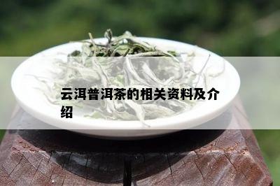 云洱普洱茶的相关资料及介绍