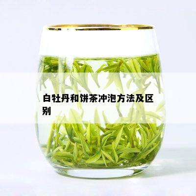 白牡丹和饼茶冲泡方法及区别