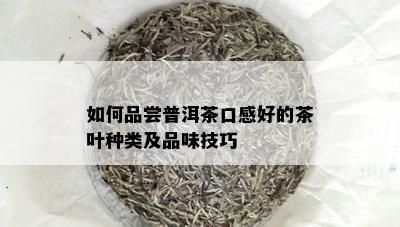 如何品尝普洱茶口感好的茶叶种类及品味技巧