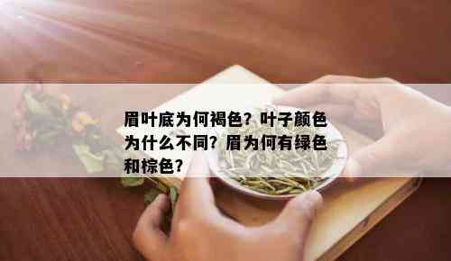 眉叶底为何褐色？叶子颜色为什么不同？眉为何有绿色和棕色？