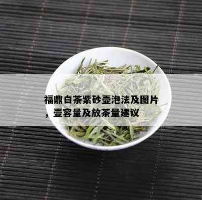 福鼎白茶紫砂壶泡法及图片，壶容量及放茶量建议