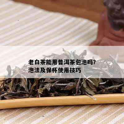 老白茶能用普洱茶包泡吗？泡法及保杯使用技巧