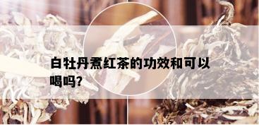 白牡丹煮红茶的功效和可以喝吗？