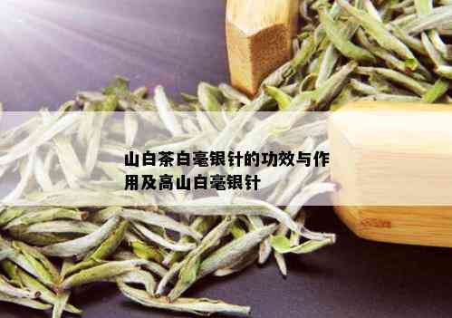 山白茶白毫银针的功效与作用及高山白毫银针