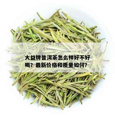 大益牌普洱茶怎么样好不好喝？最新价格和质量如何？