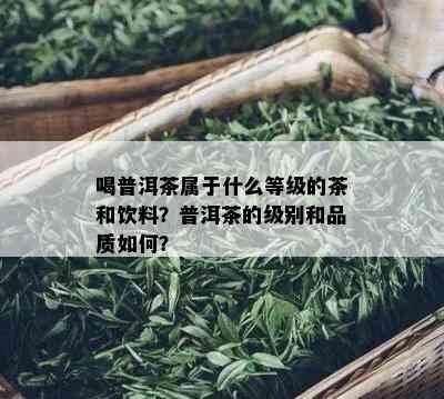 喝普洱茶属于什么等级的茶和饮料？普洱茶的级别和品质如何？