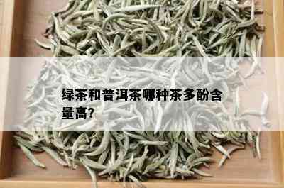 绿茶和普洱茶哪种茶多酚含量高？