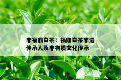 非福鼎白茶：福鼎白茶非遗传承人及非物质文化传承