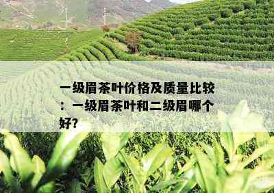 一级眉茶叶价格及质量比较：一级眉茶叶和二级眉哪个好？