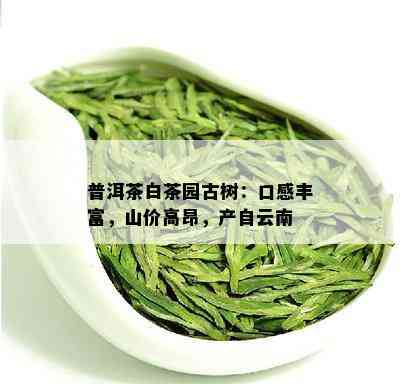 普洱茶白茶园古树：口感丰富，山价高昂，产自云南