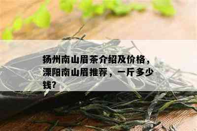 扬州南山眉茶介绍及价格，溧阳南山眉推荐，一斤多少钱？